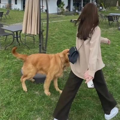 欲网恩仇